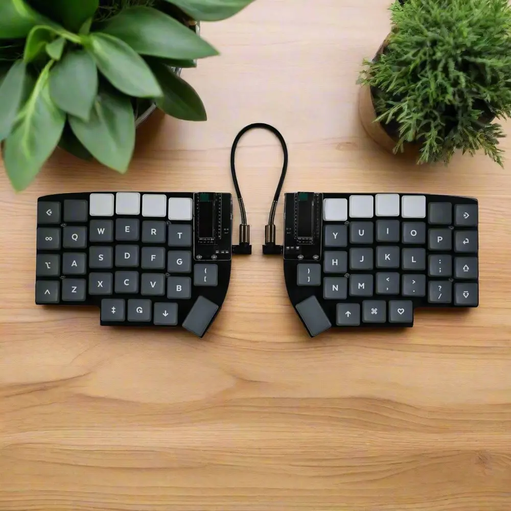 KEEBD Lily58 LP