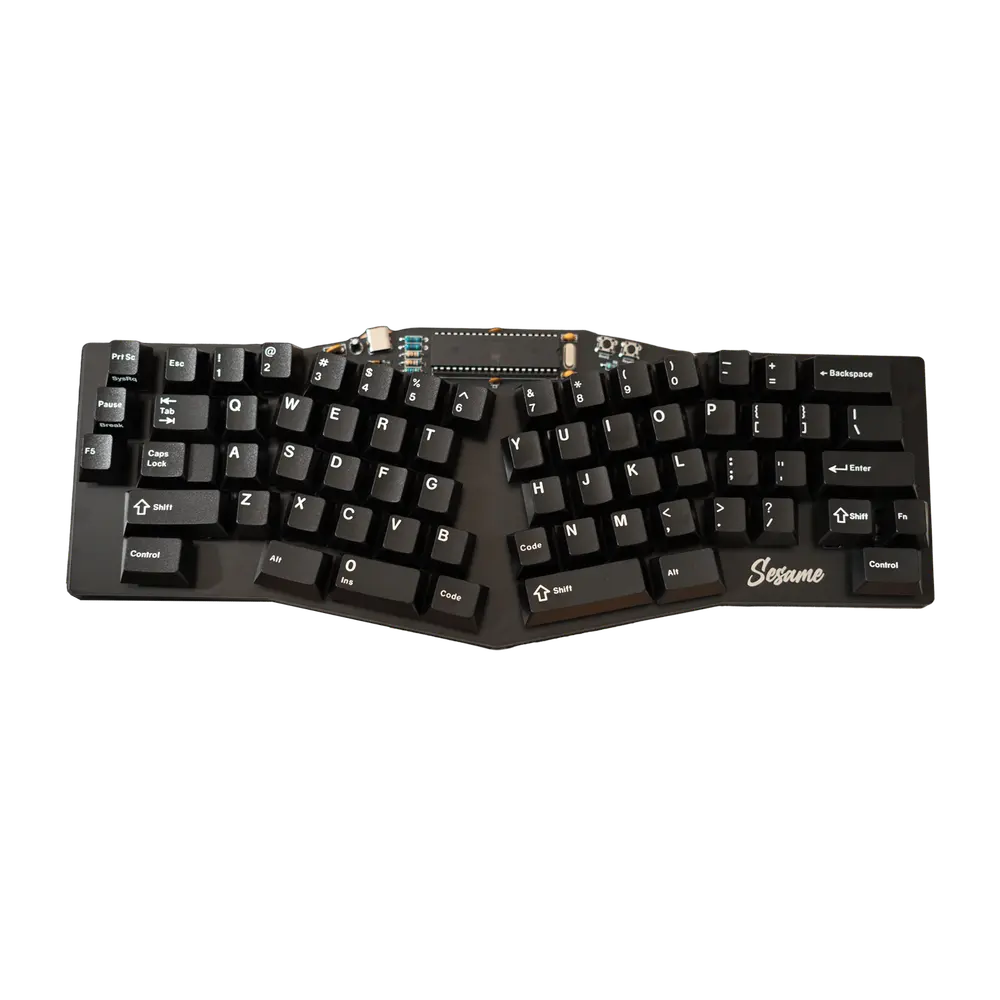 sam Sesame Kit