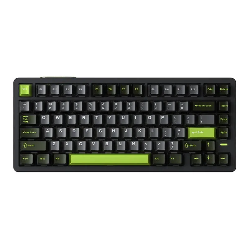 Vgn Neon Esports HE